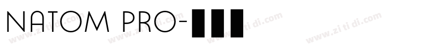 NATOM PRO字体转换 NATOM PRO字体转换